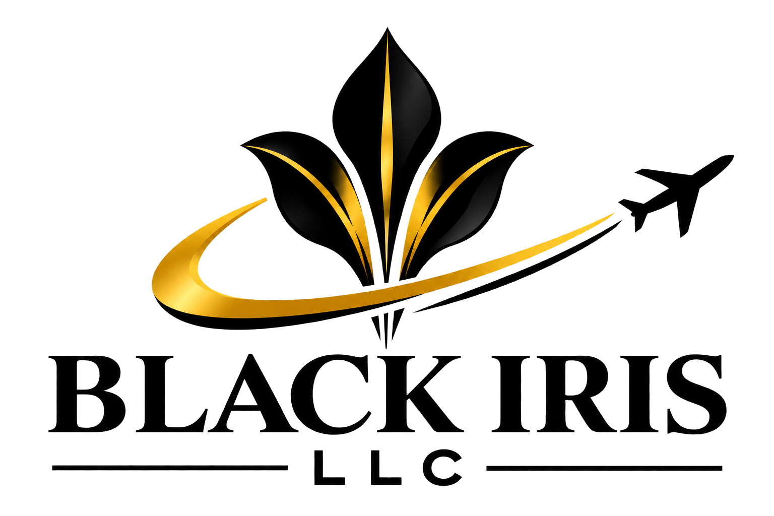 Black Iris Aeroparts